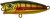 Popper Gunki Hedorah 43 F 4,3cm 3,4gr Gold Perch