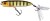 Popper Gunki Hedorah 75 F 7,5cm 9,95gr Wild Perch Popper Gunki Hedorah 75 F 7,5cm 9,95gr Wild Perch