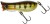 Popper Illex Bleeker Toppy 5cm 5,6gr Smuđ