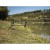 Postolje Giants Fishing Luxury Rod Pod 3 Rods