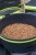 Posuda za Mamce Matrix Moulded EVA Bowl With Lid