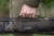 Pouzdro na Tyče Korda Compac Storm Pole Bag Dark Kamo
