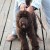 Povodac za psa Grundéns Dog Leash