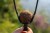 Praktika Korum Allrounder Groundbait Catapult