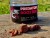 Praškasti pojačivač LK Baits Predator Booster Powdered 30g