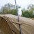 Prekrivač za bivak Avid Carp EXO+ Overwrap