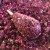 Primama LK Baits IQ Method Ready Mix 600gr Cherry