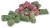 Primama Saenger Amino F3 High Protein Groundbait 1 kg