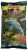 Primama Sensas 3000 Carpes 1kg (Rouge - Crveno)