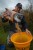 Primama Sonubaits 2kg Mega Carp Method Mix Original