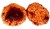 Prirodni Mamac LK Baits CUC! Rozinky 50gr Exotic