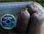 PVA Traka RidgeMonkey Disperse PVA Tape 7x40m