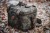 Rashladna Torba Giants Fishing Thermo Cooler Bag