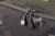 Rashladna Torba Korda Compac Cool Bag Dark Camo