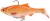 Realističan mamac Savage Gear 3D Roach RTF 12cm 34gr Albino Roach