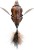 Realistická Napodobenina Savage Gear 3D Bat 12,5cm 54gr Hnedá