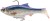 Realistična mamac Savage Gear 3D Roach RTF 15cm 60gr Clear Herring