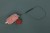 Rezervna PVA Mrežica Giants Fishing Micromesh Refill 8m