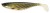 Riper Berkley Giant Ripple PDQ 16cm Štuka