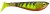 Ripper Berkley PB Pulse Shad 11cm FT