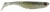 Ripper Berkley PB Ripple Shad 11cm Plavi Sjenka Zlatna