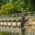 Rod Pod Avid Carp Extremity Pod