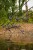 Rod pod Fox Horizon Duo Camo Pod