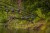Rod pod Fox Horizon Duo Camo Pod