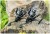 Rola Giants Fishing GXR Reel 6000FS AKCIJA 1+1