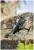 Rola Giants Fishing GXR Reel 6000FS AKCIJA 1+1