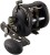 Rola Penn Squall II 20LW