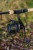 Rola Zebco Ambition Distance Feeder 6000