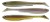 Set gumenih mamaca Daiwa Prorex Slim Shady Nature Set 16cm 25,5gr