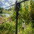 Set signalizatora Avid VTX+ Bite Alarm Set 3+1