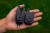 Set Signalizatora Fox Mini Micron® X 4+1