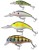 Set voblera Saenger Perch 1