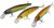 Set voblera Saenger Pike 1