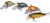 Set Voblera Saenger Trout 1