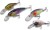 Set voblera Saenger Trout Perch 1