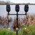 Signalizator ugriza Avid VTX Bite Alarm