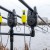 Signalizator ugriza Avid VTX Bite Alarm