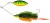 Spinnerbait Westin MonsterVibe (Willow) V2 #8/0 65g Crazy Firetiger