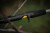 Štap Black Cat Perfect Passion X Casting 2,20m 150g