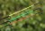 Štap Drennan Acolyte Plus Feeder