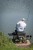 Štap Matrix Ultra-W Waggler Rods