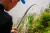Štap Preston Dura Carp Pole 8,00m