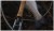 Štap Wychwood Flow Fly Rod 9ft #5