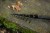 Štap Zebco Magic Trout L 3,5m 2-15g Tele