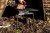 Stolić Fox Bivvy Table