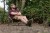 Stolica Korda Compac Low Chair